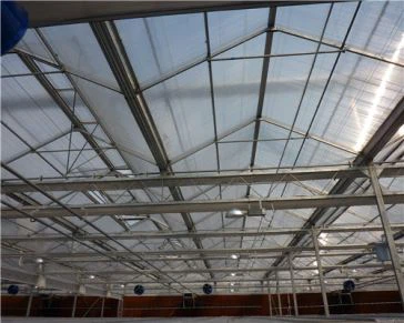 Selge polükarbonaadi õõnes leht